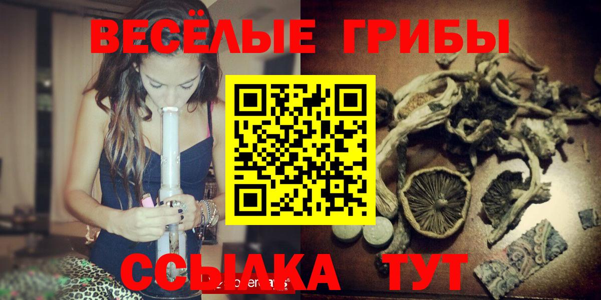 Бердск  Галлюциногенные грибы мицелий  Вход с VPN 