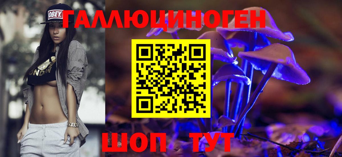 Галлюциногенные грибы мухоморы Бердск